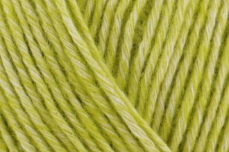 Scheepjes Stone Washed - 827 Peridot