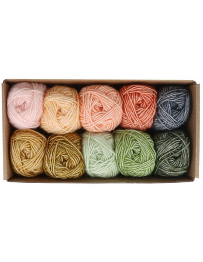 Scheepjes Stone Washed, lot de 10 x 25 g - Intentions