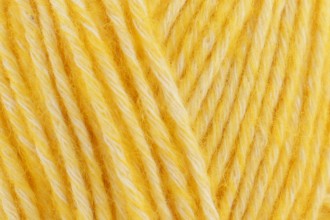 Scheepjes Stone Washed - 833 Beryl